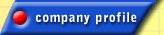 company profile